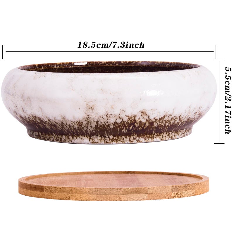 ARTKETTY Succulent Pots - 7.3 Inch Ceramic Bonsai Pot with Tray, Large Succulent Planters with Drainage, Shallow Planter for Indoor Cactus Plants Decorative Flower Plant Container Bowl - Image 3